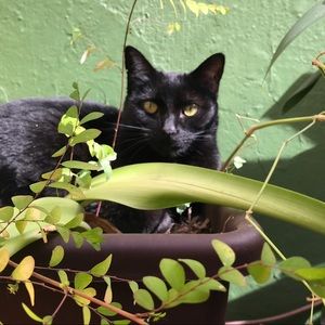 Meet your Posher, Nancy